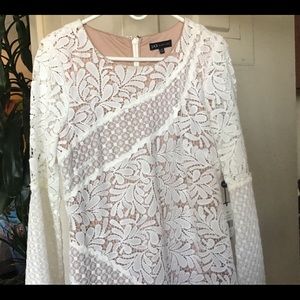 Lovely Creme White lace dress from Jax